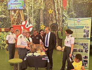 Guardia di finanza di fiumicino, cites e sport acquatici a zoomarine per la giornata mondi